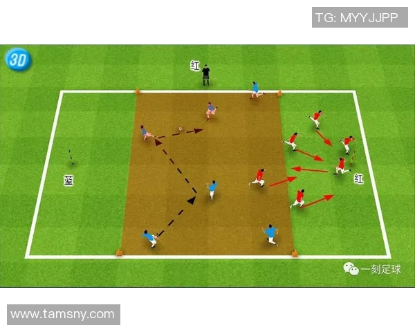 西安排球队耐力表现的深度数据分析与战术影响探讨