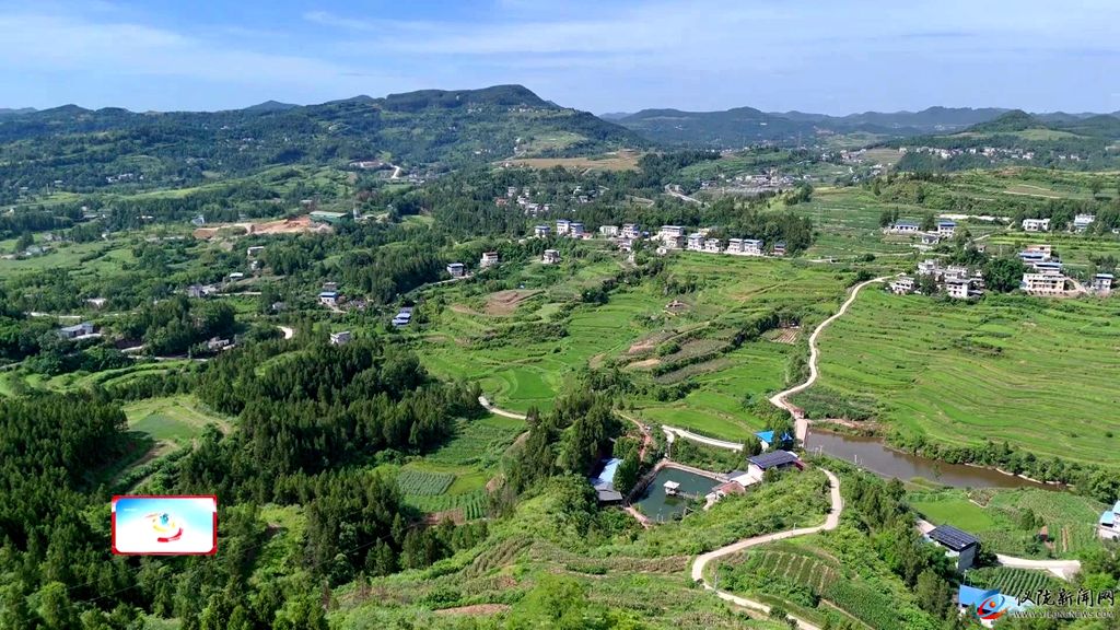 复兴镇 攻坚克难 高效利用土地资源 谱写农作物种植新篇章